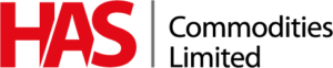 budget logo design services, affordable logo design services