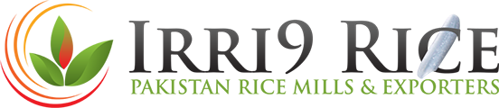 budget logo design services, affordable logo design services